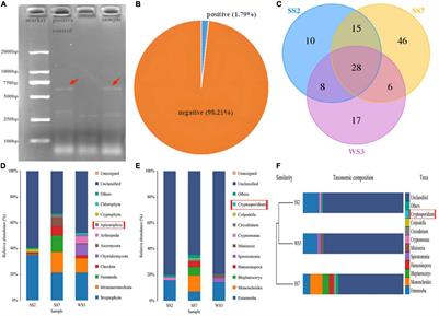 Gut Fungal Microbiome Responses to Natural Cryptosporidium Infection in Horses